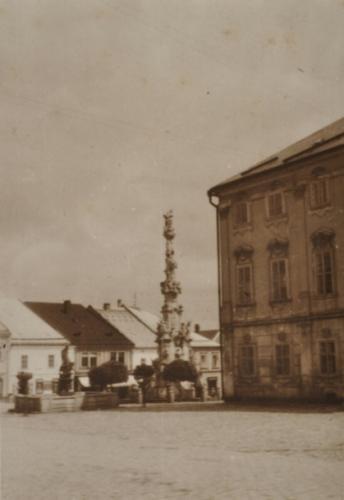Hf_1295